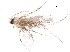  (malaiseGraci01 Malaise0009 - BIOUG18828-H05)  @13 [ ] CreativeCommons - Attribution (2015) CBG Photography Group Centre for Biodiversity Genomics