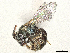  ( - CBG-A58676-A02)  @11 [ ] CreativeCommons - Attribution (2025) CBG Photography Group Centre for Biodiversity Genomics