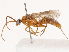  ( - CBG-B02342-F01)  @11 [ ] CreativeCommons - Attribution Share - Alike (2025) CBG Photography Group Centre for Biodiversity Genomics