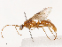  ( - CBG-B02342-F03)  @11 [ ] CreativeCommons - Attribution Share - Alike (2025) CBG Photography Group Centre for Biodiversity Genomics