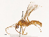 ( - CBG-B02342-F05)  @11 [ ] CreativeCommons - Attribution Share - Alike (2025) CBG Photography Group Centre for Biodiversity Genomics