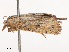  ( - CBG-B13560-D03)  @11 [ ] CreativeCommons - Attribution Share - Alike (2025) CBG Photography Group Centre for Biodiversity Genomics