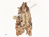  ( - CBG-B13560-D08)  @11 [ ] CreativeCommons - Attribution Share - Alike (2025) CBG Photography Group Centre for Biodiversity Genomics