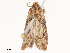  ( - CBG-B13560-D09)  @11 [ ] CreativeCommons - Attribution Share - Alike (2025) CBG Photography Group Centre for Biodiversity Genomics