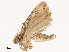  ( - CBG-B13560-F02)  @11 [ ] CreativeCommons - Attribution Share - Alike (2025) CBG Photography Group Centre for Biodiversity Genomics