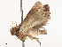  ( - CBG-B13560-G07)  @11 [ ] CreativeCommons - Attribution Share - Alike (2025) CBG Photography Group Centre for Biodiversity Genomics