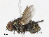  ( - CBG-A13350-F04)  @11 [ ] CreativeCommons - Attribution Share - Alike (2023) CBG Photography Group Centre for Biodiversity Genomics