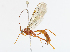  ( - CBG-A13350-G01)  @11 [ ] CreativeCommons - Attribution Share - Alike (2023) CBG Photography Group Centre for Biodiversity Genomics