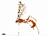  ( - CBG-A14977-A04)  @11 [ ] CreativeCommons - Attribution Share - Alike (2023) CBG Photography Group Centre for Biodiversity Genomics