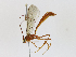  ( - CBG-A14978-A05)  @11 [ ] CreativeCommons - Attribution Share - Alike (2023) CBG Photography Group Centre for Biodiversity Genomics