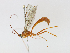  ( - CBG-A14978-F12)  @11 [ ] CreativeCommons - Attribution Share - Alike (2023) CBG Photography Group Centre for Biodiversity Genomics
