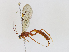 ( - CBG-A14979-D03)  @11 [ ] CreativeCommons - Attribution Share - Alike (2023) CBG Photography Group Centre for Biodiversity Genomics