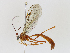  ( - CBG-A14979-D04)  @11 [ ] CreativeCommons - Attribution Share - Alike (2023) CBG Photography Group Centre for Biodiversity Genomics