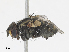  ( - CBG-A15021-B09)  @11 [ ] CreativeCommons - Attribution Share - Alike (2023) CBG Photography Group Centre for Biodiversity Genomics