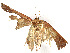  ( - CBG-A15021-H05)  @11 [ ] CreativeCommons - Attribution Share - Alike (2023) CBG Photography Group Centre for Biodiversity Genomics