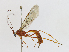  ( - CBG-A15022-C01)  @11 [ ] CreativeCommons - Attribution Share - Alike (2023) CBG Photography Group Centre for Biodiversity Genomics