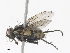  ( - CBG-A15023-B09)  @11 [ ] CreativeCommons - Attribution Share - Alike (2023) CBG Photography Group Centre for Biodiversity Genomics