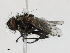  ( - CBG-A16669-B03)  @11 [ ] CreativeCommons - Attribution Share - Alike (2023) CBG Photography Group Centre for Biodiversity Genomics