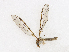  ( - CBG-A16672-H01)  @11 [ ] CreativeCommons - Attribution Share - Alike (2023) CBG Photography Group Centre for Biodiversity Genomics