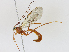  ( - CBG-A16673-D07)  @11 [ ] CreativeCommons - Attribution Share - Alike (2023) CBG Photography Group Centre for Biodiversity Genomics