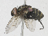  ( - CBG-A16676-E10)  @11 [ ] CreativeCommons - Attribution Share - Alike (2023) CBG Photography Group Centre for Biodiversity Genomics