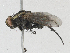  ( - CBG-A16676-E12)  @11 [ ] CreativeCommons - Attribution Share - Alike (2023) CBG Photography Group Centre for Biodiversity Genomics