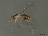  ( - BIOUG41541-A11)  @14 [ ] CreativeCommons - Attribution (2020) CBG Photography Group Centre for Biodiversity Genomics
