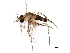  ( - BIOUG17357-H06)  @14 [ ] CreativeCommons - Attribution (2015) CBG Photography Group Centre for Biodiversity Genomics