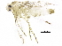  ( - BIOUG17359-A03)  @12 [ ] CreativeCommons - Attribution (2015) CBG Photography Group Centre for Biodiversity Genomics