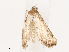 ( - CBG-B13560-B07)  @11 [ ] CreativeCommons - Attribution Share - Alike (2025) CBG Photography Group Centre for Biodiversity Genomics