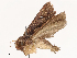  ( - CBG-B13560-B10)  @11 [ ] CreativeCommons - Attribution Share - Alike (2025) CBG Photography Group Centre for Biodiversity Genomics
