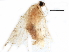  ( - BIOUG04730-G02)  @12 [ ] CreativeCommons - Attribution (2015) CBG Photography Group Centre for Biodiversity Genomics