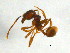  ( - BIOUG05082-H08)  @13 [ ] CreativeCommons - Attribution (2013) CBG Photography Group Centre for Biodiversity Genomics