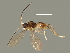  ( - BIOUG05184-B10)  @13 [ ] CreativeCommons - Attribution (2014) CBG Photography Group Centre for Biodiversity Genomics