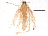  (malaiseGraci01 Malaise379 - BIOUG05194-C07)  @12 [ ] CreativeCommons - Attribution (2014) CBG Photography Group Centre for Biodiversity Genomics