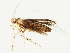  (malaiseGraci01 Malaise5556 - BIOUG05345-C12)  @12 [ ] CreativeCommons - Attribution (2014) CBG Photography Group Centre for Biodiversity Genomics