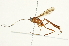  (Nonnus Malaise7248 - BIOUG05373-G04)  @14 [ ] CreativeCommons - Attribution (2014) CBG Photography Group Centre for Biodiversity Genomics