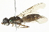  ( - BIOUG06019-H09)  @13 [ ] CreativeCommons - Attribution (2014) CBG Photography Group Centre for Biodiversity Genomics