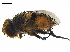 ( - BIOUG07449-E12)  @11 [ ] CreativeCommons - Attribution (2019) CBG Photography Group Centre for Biodiversity Genomics