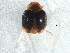  ( - BIOUG07554-D10)  @13 [ ] CreativeCommons - Attribution (2015) CBG Photography Group Centre for Biodiversity Genomics