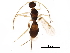  ( - BIOUG08264-A07)  @12 [ ] CreativeCommons - Attribution (2017) CBG Photography Group Centre for Biodiversity Genomics