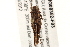  ( - BIOUG08352-F03)  @12 [ ] CreativeCommons - Attribution (2014) CBG Photography Group Centre for Biodiversity Genomics