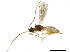 ( - BIOUG09074-A02)  @14 [ ] CreativeCommons - Attribution (2019) CBG Photography Group Centre for Biodiversity Genomics