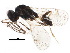  ( - BIOUG09739-C04)  @14 [ ] CreativeCommons - Attribution (2015) CBG Photography Group Centre for Biodiversity Genomics