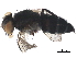  ( - BIOUG10105-E07)  @11 [ ] CreativeCommons - Attribution (2019) CBG Photography Group Centre for Biodiversity Genomics