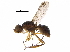  ( - BIOUG36281-G08)  @11 [ ] CreativeCommons - Attribution (2018) CBG Photography Group Centre for Biodiversity Genomics