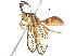  (ereMalaise01 Malaise2569 - BIOUG18040-D02)  @14 [ ] CreativeCommons - Attribution (2015) CBG Photography Group Centre for Biodiversity Genomics