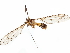  ( - BIOUG30035-H06)  @11 [ ] CreativeCommons - Attribution (2020) CBG Photography Group Centre for Biodiversity Genomics