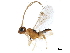  ( - BIOUG17616-B12)  @13 [ ] CreativeCommons - Attribution (2019) CBG Photography Group Centre for Biodiversity Genomics