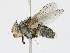  ( - CBG-A13325-C06)  @11 [ ] CreativeCommons - Attribution Share - Alike (2023) CBG Photography Group Centre for Biodiversity Genomics